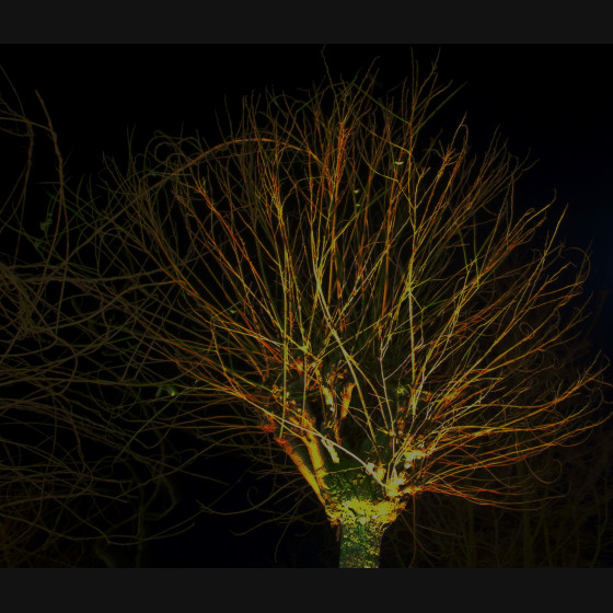Bild002