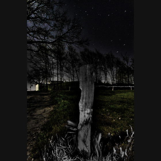 Bild003
