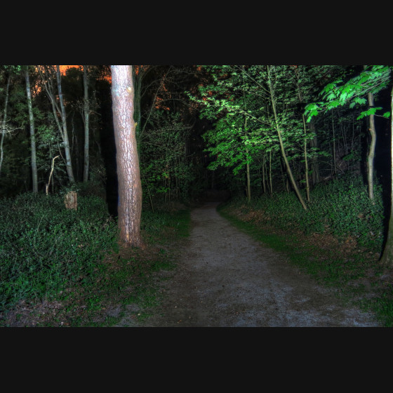 Bild005