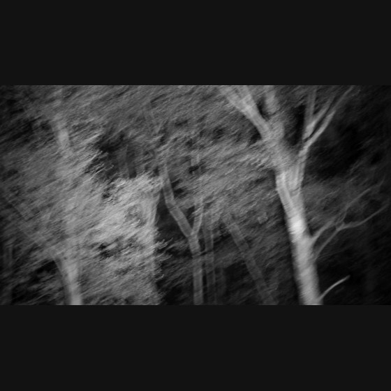 Bild006