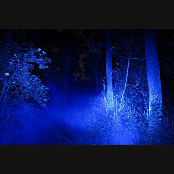 Bild005