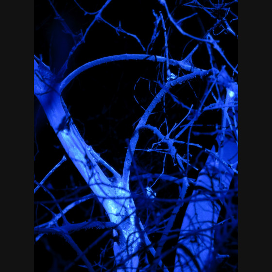 Bild010