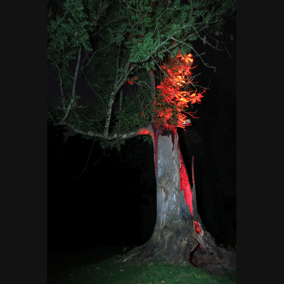 Bild010