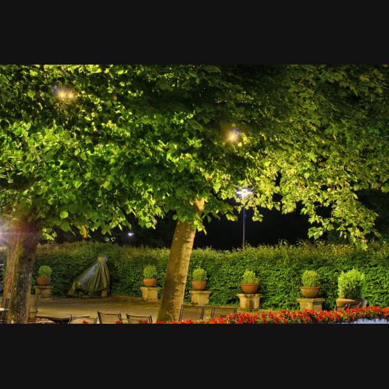 Bild001