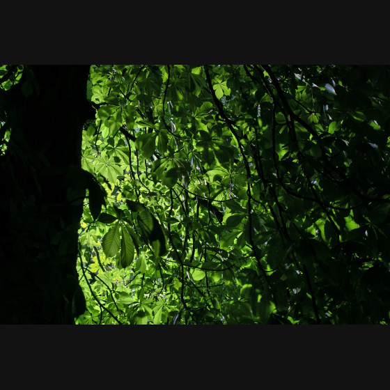 Bild008