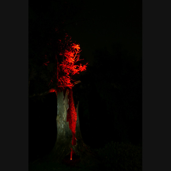 Bild010