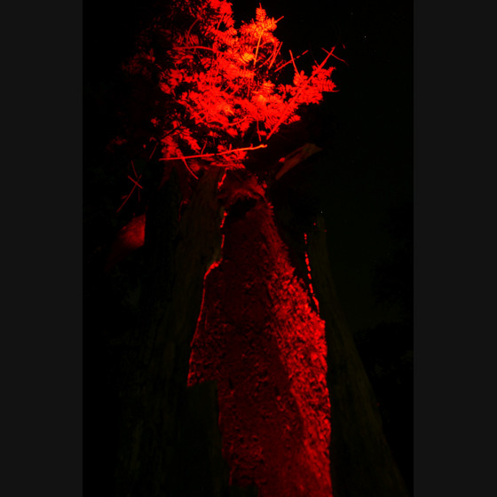 Bild011