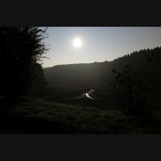 Bild004