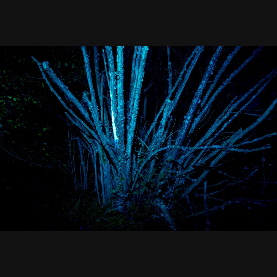 Bild004