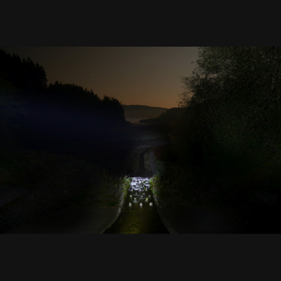 Bild009