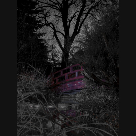 Bild004
