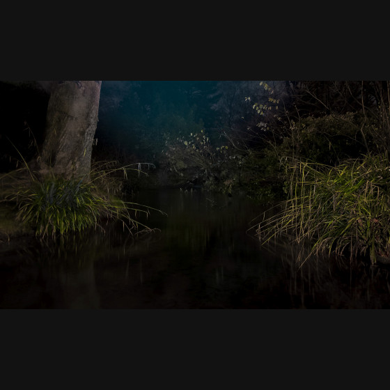 Bild005