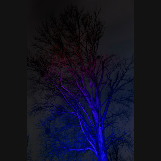 Bild001