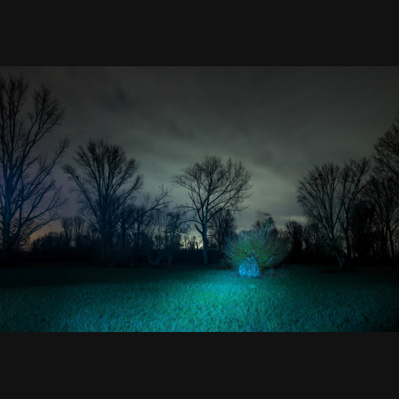 Bild002