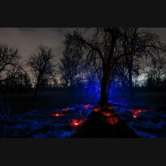 Bild004
