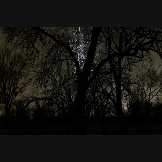 Bild001