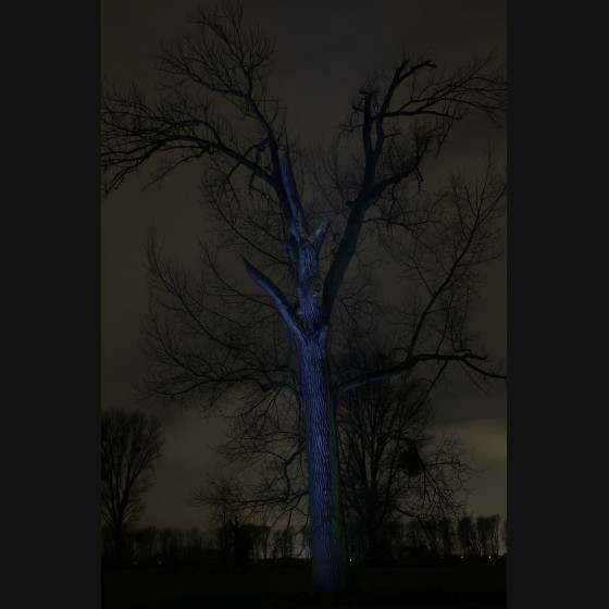 Bild003