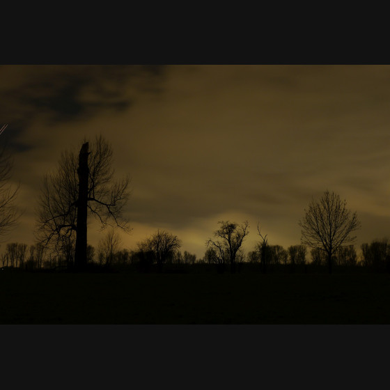 Bild004