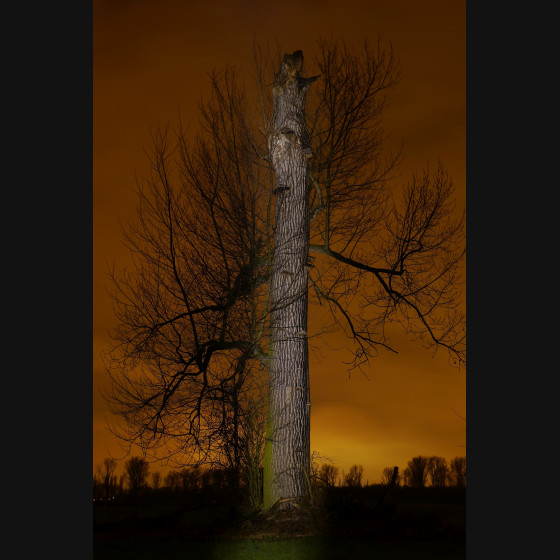 Bild005
