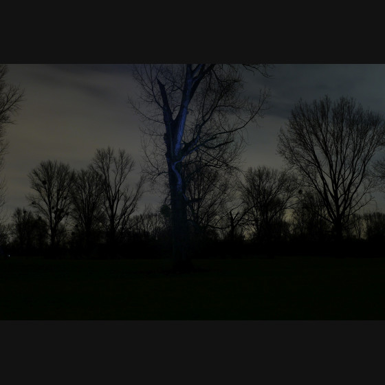 Bild006