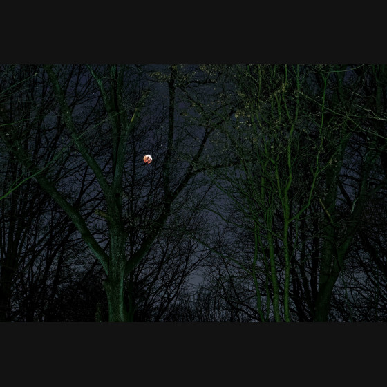 Bild008