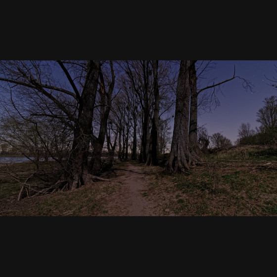 Bild001