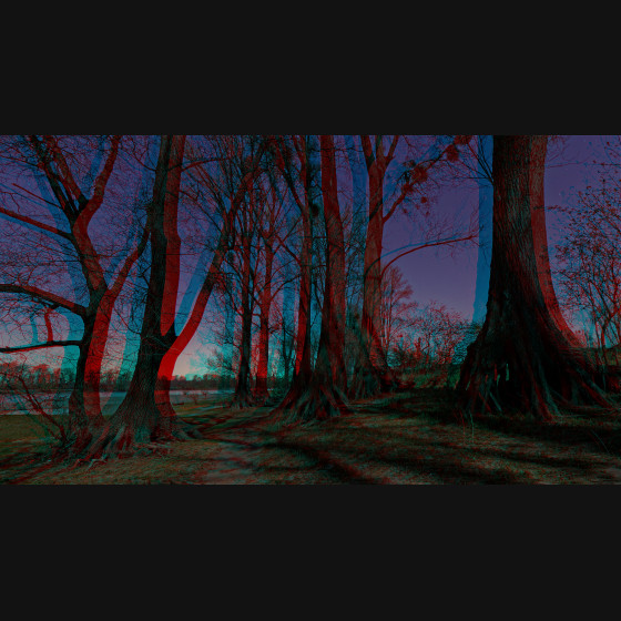 Bild003