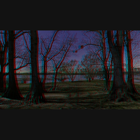 Bild004