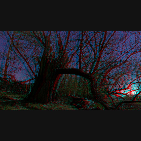 Bild016