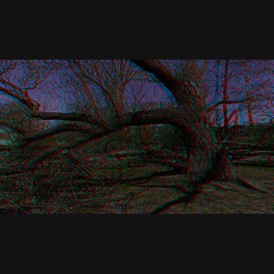 Bild017