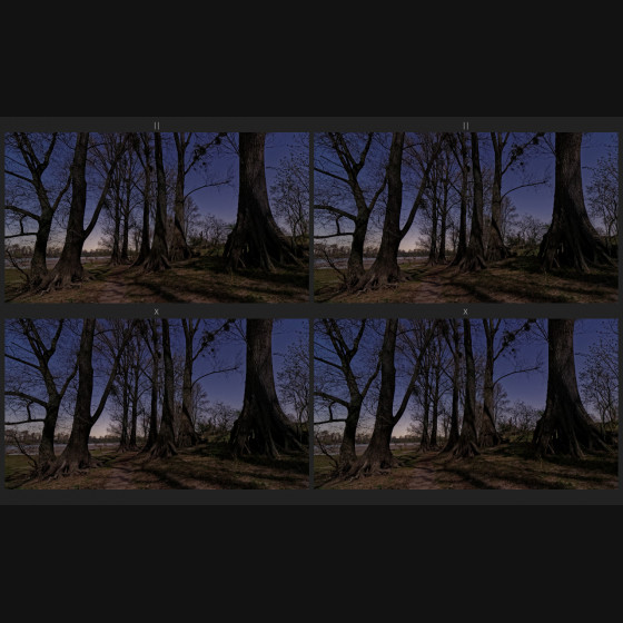Bild003
