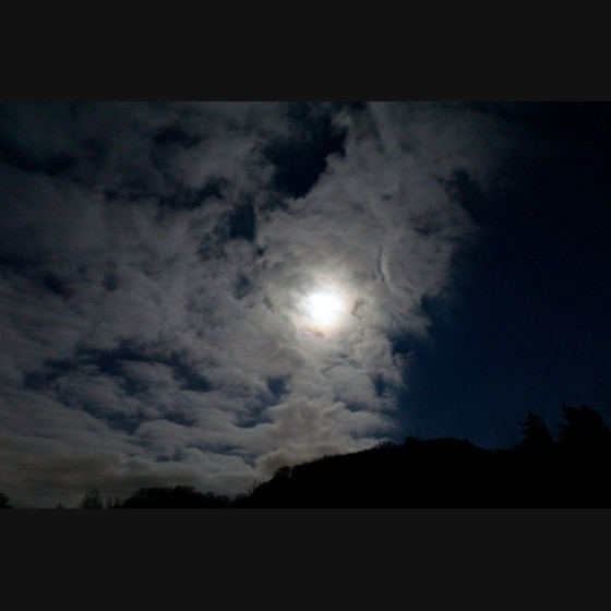 Bild031