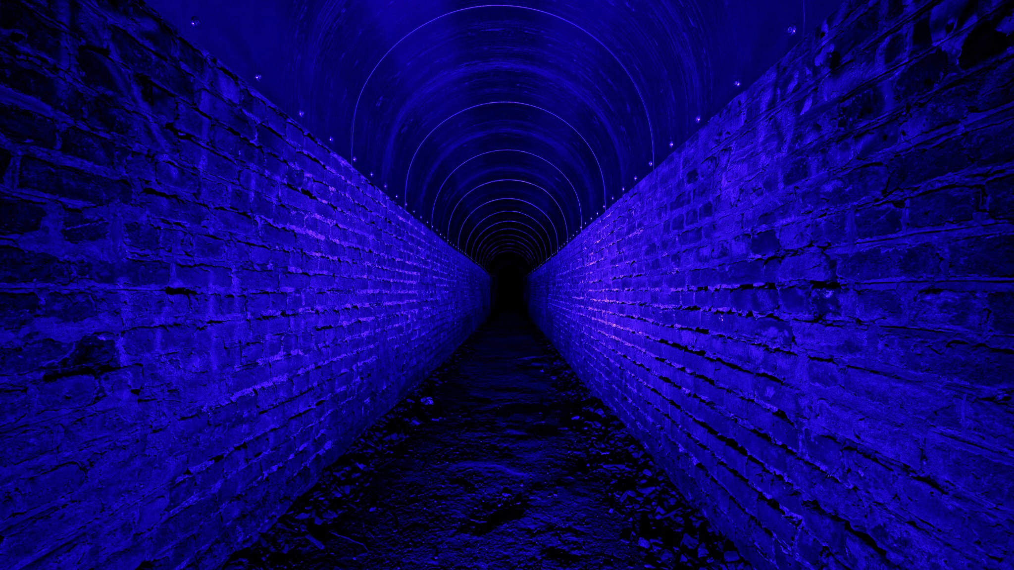 Der Tunnel im Wald 3D